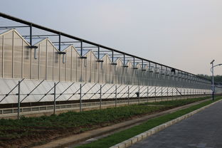 設(shè)施農(nóng)業(yè)概述 溫室與大棚的區(qū)別及利禾科技的材料與配套設(shè)施設(shè)計