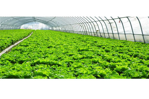 德宏農(nóng)業(yè)光伏溫室大棚 奧越信科技在大棚材料及配套設(shè)施設(shè)計中的創(chuàng)新實踐