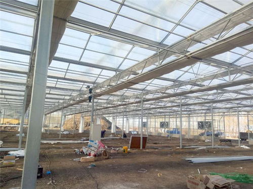 玻璃溫室設(shè)計與配套 青州瀚洋農(nóng)業(yè)的專業(yè)解決方案
