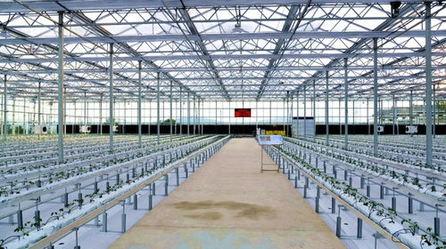 走進(jìn)四方臺紫云嶺現(xiàn)代農(nóng)業(yè)示范園區(qū)的智能溫室 大棚材料與配套設(shè)施的設(shè)計