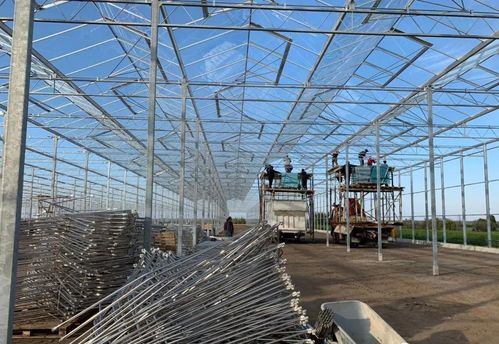 投資現代化智能玻璃溫室大棚的造價與設計要點