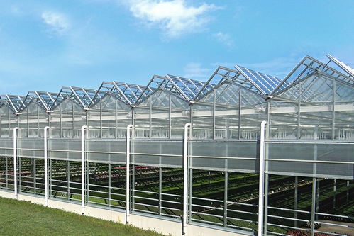 溫室的主要類型、材料選擇及配套設(shè)施設(shè)計概述