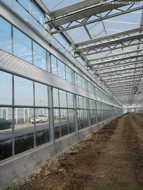 創(chuàng)新設(shè)計與科技融合 玻璃溫室大棚年供暖費節(jié)省一半的關(guān)鍵